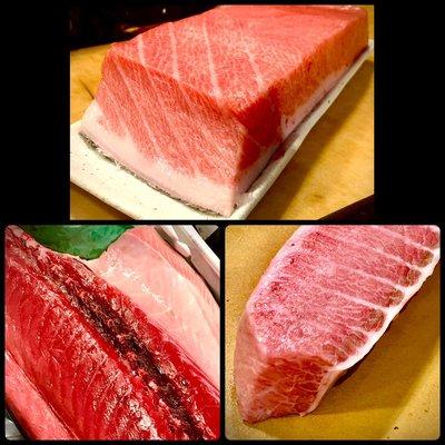 Bluefin Tuna and Toro