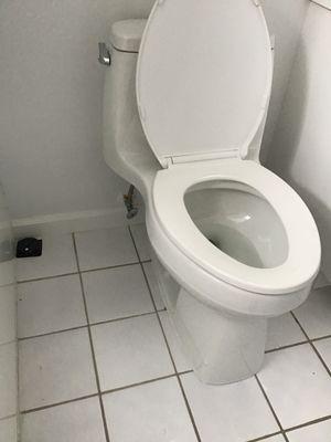 Toilet Installation