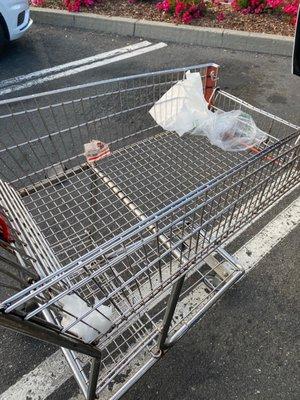 Trash in shopping cart