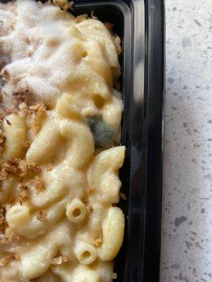 Moldy mac & cheese that had been expired for weeks before I purchased it.