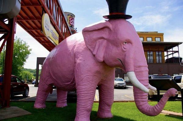 The Casino Queen Marquette mascot, Pinky is a popular selfie spot.