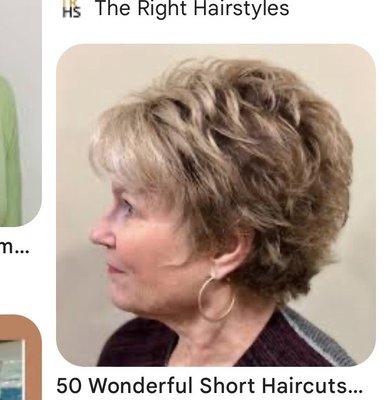 This is the picture we showed the hairstylist both they were working on my mom's hair.