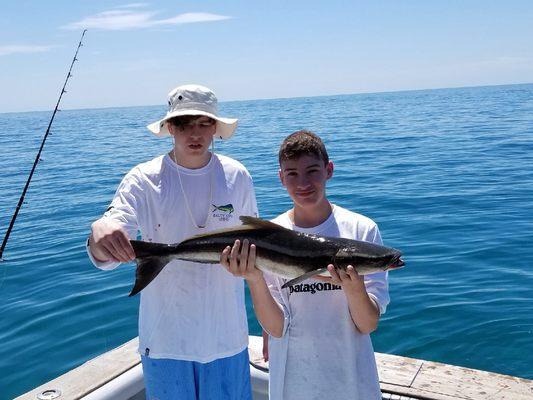 Baby cobia release on Fired Up fishing charters