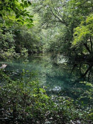 Eventually the spring waters meet ground waters at Sandy Creek