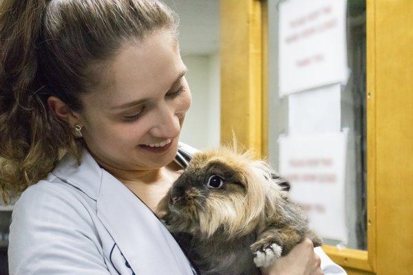 Dr. Caginalp and Ernie, the lionhead rabbit