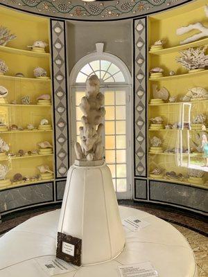 Room displaying the shell collection