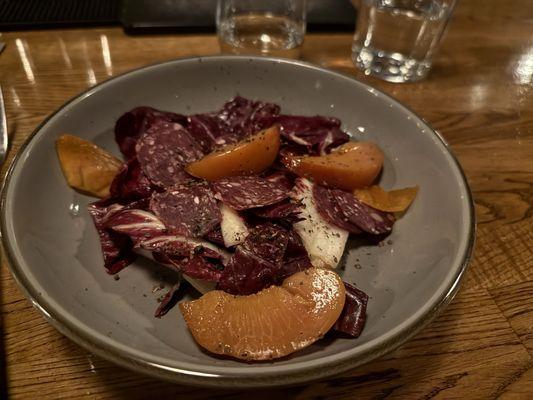 Tardivo with persimmon, pickled plumcot and elk salami