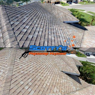 Roof Cleaning