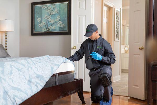 We offer the following services for bed bugs: insecticide treatments, fumigation services, heat treatments, and canine detections. 