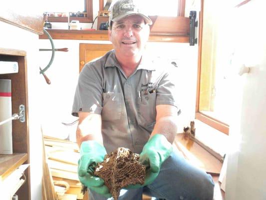 Mike Smith holding a Formosan Termite"Carton Nest"