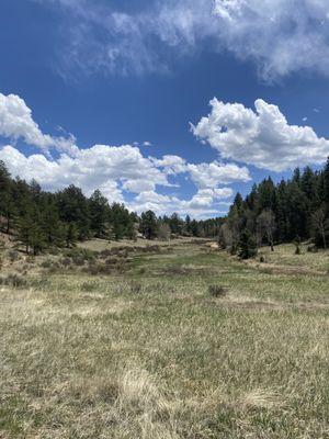 Fossil Beds