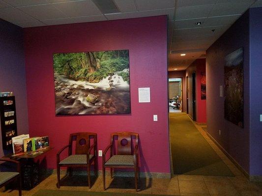 Waiting room at Wellspring Holistic Health