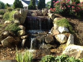 Tranquil View from rooms