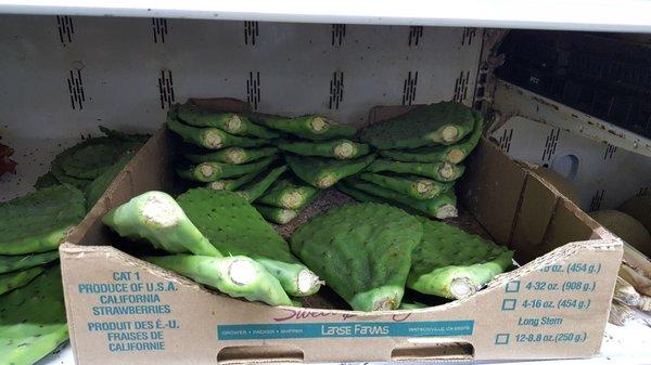 Nopales