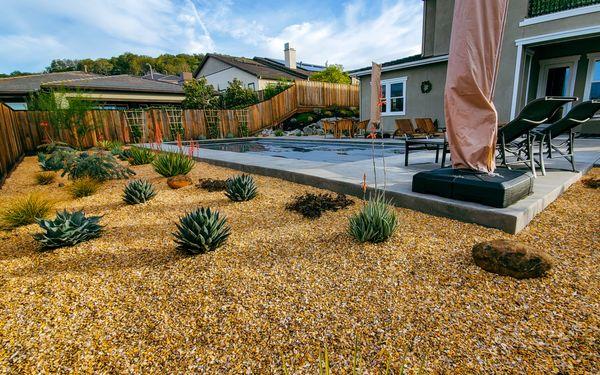 Southwestern theme yard with drought tolerant plants