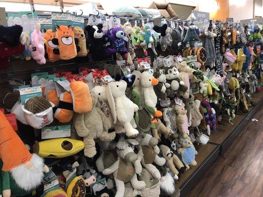 Pet toys, galore!