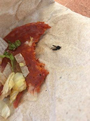 A dead fly and the food it touched while in my sandwich.