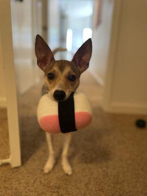 Musubi toy stuffie