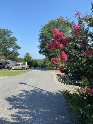 Scenic Mountain RV Park and Campground