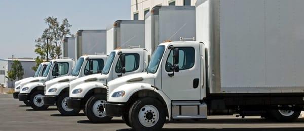 We use clean, reliable trucks with background checked drivers for every move.