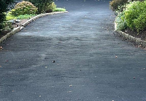 Premier Asphalt Services