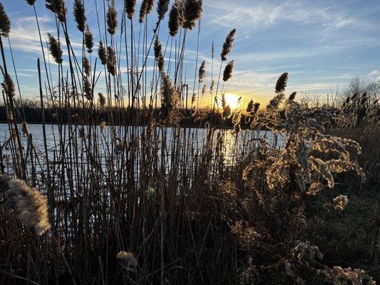 Beck Lake Forest Preserve