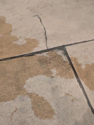 Moore pool deck cracks