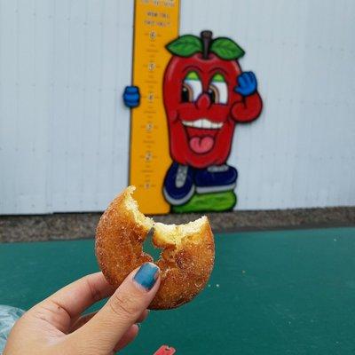 Apple cider donuts