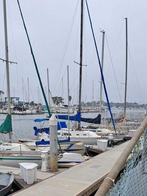 The park overlooks a busy marina