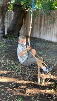 Swinging from the trees in outdoor Kindergarten