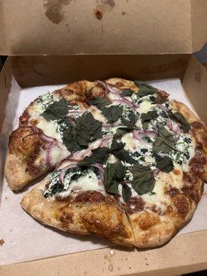 Cheese Plain Pizza Appetizer with spinach and basil