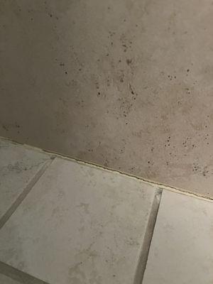 Shower grout- this is the same day he finished.