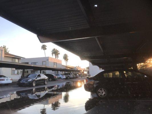 Flooded parking, 1 day after storm, still didn't go down.