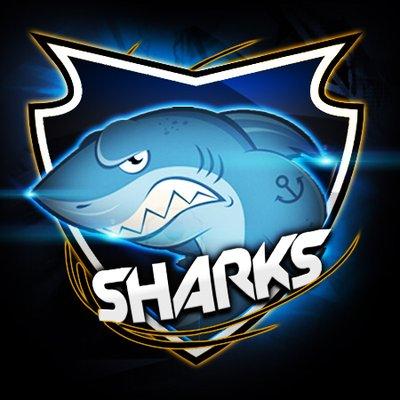 Team sharks