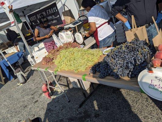 Grape season, shelter in place