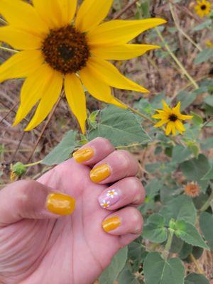 From summer to fall  nails