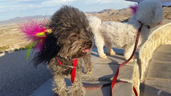 Gracie Lou Freebush loves the feather extensions