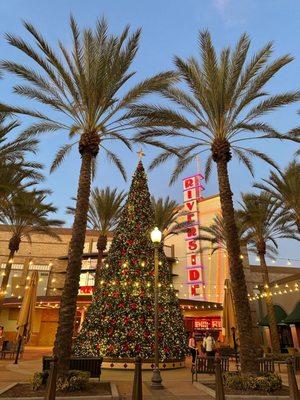 Riverside Plaza Christmas Tree - December 2023