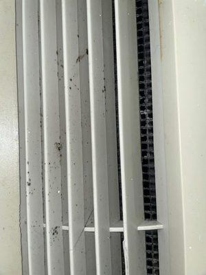 Moldy air conditioner