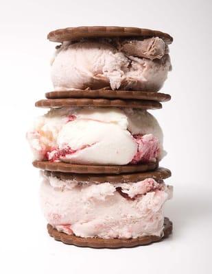 Ice Cream Sandwiches!