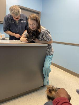 Carson Road Pet Clinic