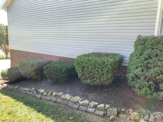 The rock and brick border isn't Valesco but we do plan to have them make that look a lot better also. Great job on the bushes.