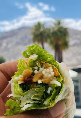 FUZION FIVE, Palm Springs, CA!  Classic Fresh Spring Roll w/ Peanut Sauce!  shrimp, pork, lettuce, sprouts, noodles, cucumber, mint