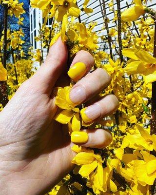 Short acrylic with yellow gel for spring