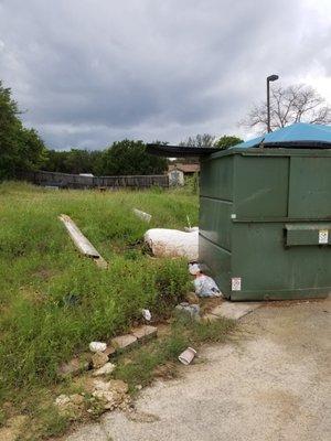 This is everywhere. Trash and more trash.  Rats are having a good time on the lake