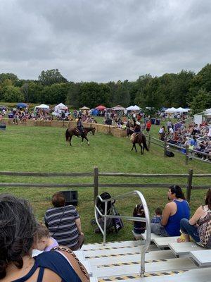 Barrel racing and loads of information.