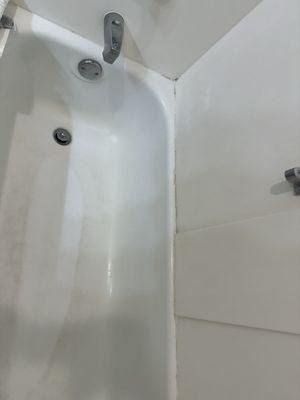 Tub looks nasty and the mold makes it worst.