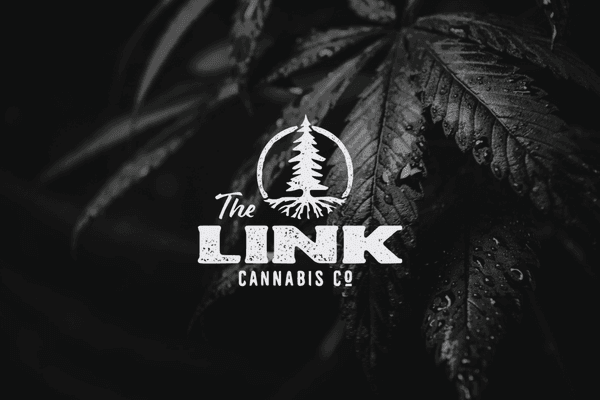 The Link Cannabis Co.