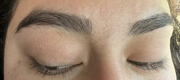 I just got my brows done yesterday...I still have a unibrow.