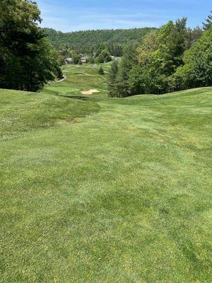 Reems Creek Golf Club